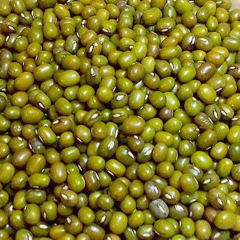 Prasadam Green Moong Whole
