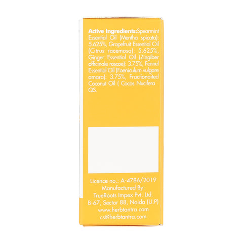 Travel Ease Motion Sickness Roll-On (9 ml)